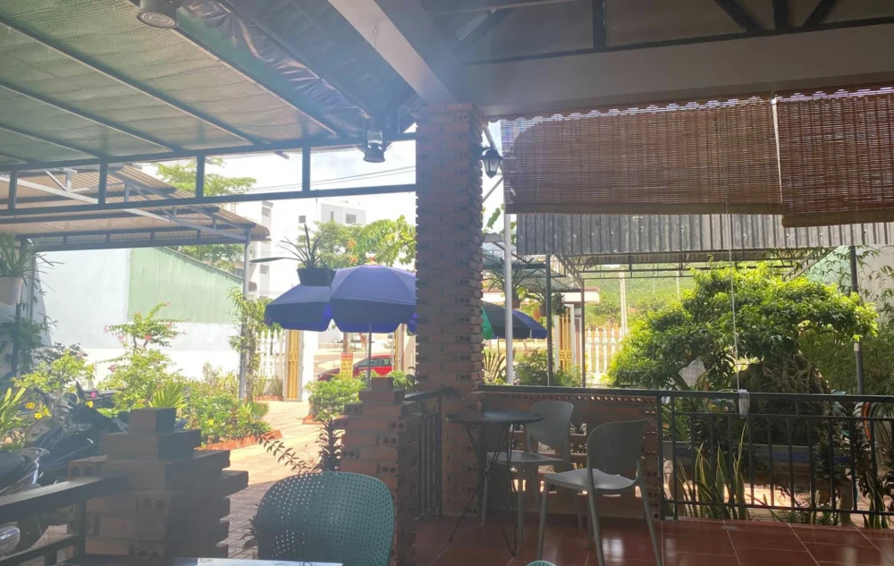 Gạo Coffee – ảnh 1
