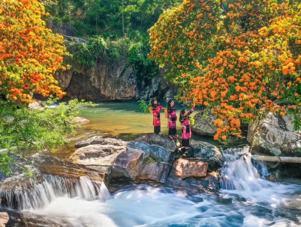 Thiếu nữ Ba Na bên dòng Suối Cà Te mùa hoa nở